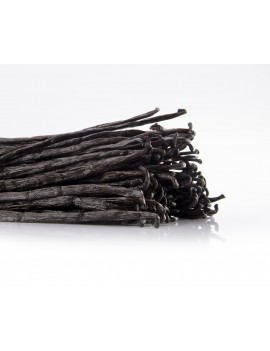 Gousses de vanille BIO Planifolia Bourbon 16-20 cm Madagascar EURO VANILLE