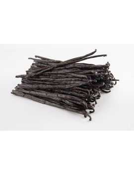 Gousses de vanille Planifolia Bourbon 16-20 cm Madagascar EURO VANILLE