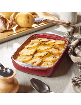 Plat rectangulaire en verre effet céramique avec couvercle en verre et silicone PEBBLY
