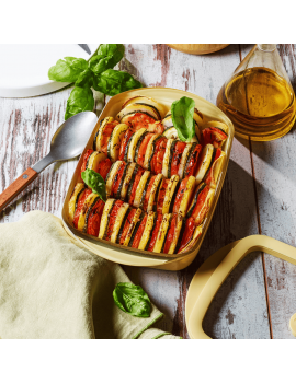 Plat rectangulaire en verre effet céramique avec couvercle en verre et silicone PEBBLY