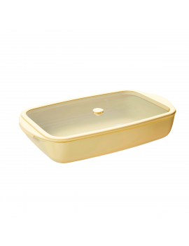 Plat rectangulaire en verre effet céramique avec couvercle en verre et silicone