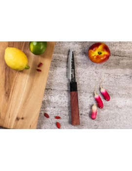 Couteau d'office Sayuto Séquoia San Mai lame martelée 21cm SAYUTO