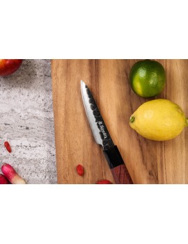 Couteau d'office Sayuto Séquoia San Mai lame martelée 21cm SAYUTO