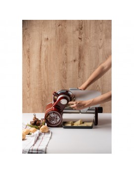 Icon - La trancheuse électrique BERKEL