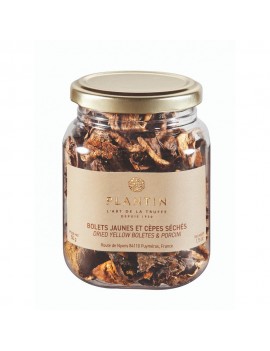 Tubo de mélange Bolets & Cèpes Séchés PLANTIN