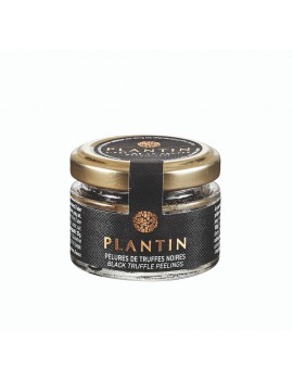 Pelures de truffes noires PLANTIN