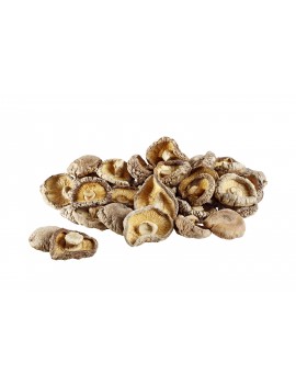 Tubo de Shiitakes Séchés PLANTIN