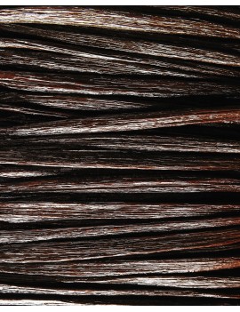 Gousses de vanille Equateur +15 cm Tahitensis AUTHENTIC PRODUCTS