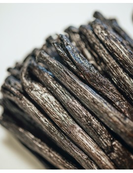 Gousses de vanille Fendue Bourbon Madagascar +15 cm Planifolia AUTHENTIC PRODUCTS