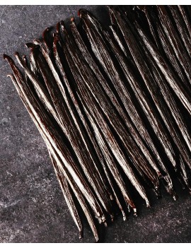 Gousses de vanille Equateur +15 cm Tahitensis AUTHENTIC PRODUCTS