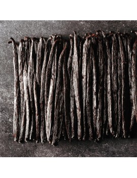 Gousses de vanille Ouganda +15 cm Planifolia AUTHENTIC PRODUCTS