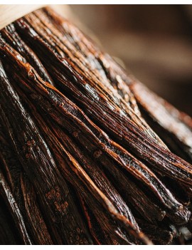 Gousses de vanille Fendue Bourbon Madagascar +15 cm Planifolia AUTHENTIC PRODUCTS