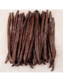 Gousses de vanille Tahiti Ile de Raitea +14 cm Grade A Planifolia AUTHENTIC PRODUCTS