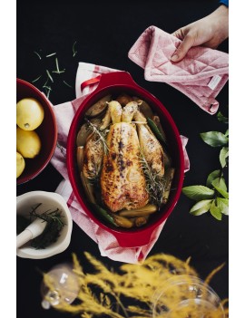 Brique à Rôtir Emile Henry