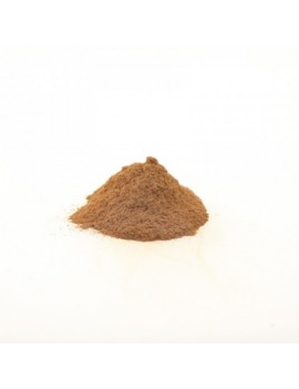 Cannelle de Ceylan en poudre 60 g TERRE EXOTIQUE