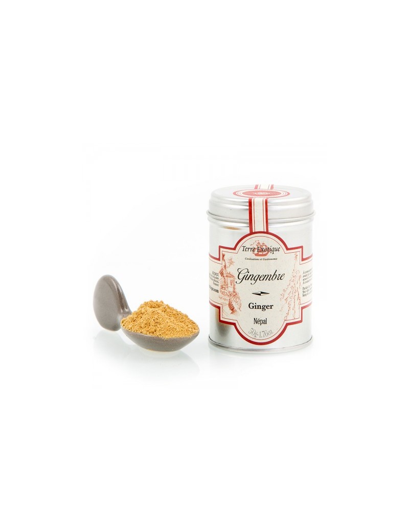 Gingembre en poudre biologique 50 g TERRE EXOTIQUE Gingembre en poudre biologique 50 g TERRE EXOTIQUE