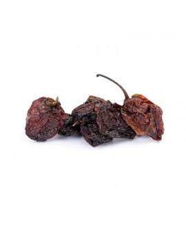 Piment habanero 12 g TERRE EXOTIQUE