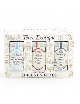 Coffret épices : Epices en fêtes TERRE EXOTIQUE