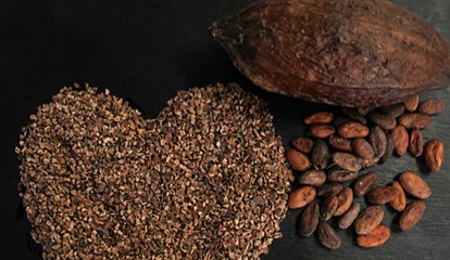 De la plantation à la fève de cacao ou retour du vrai chocolat !