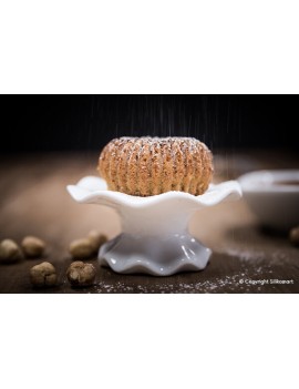 Moule silicone Mini Raggio pour 6 créations SILIKOMART