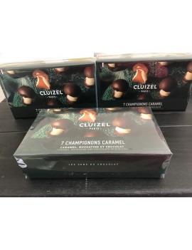 Coffret Champignons Caramel n°7 MICHEL CLUIZEL