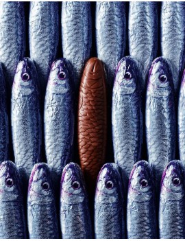 Filet de sardines au chocolat MICHEL CLUIZEL