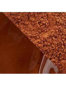 Poudre de cacao Plein Arôme Zestina la plus brune CALLEBAUT