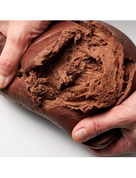 Poudre de cacao Extra Brute Botanical CALLEBAUT
