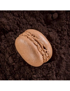 Poudre de cacao Légère Velvet 1% CALLEBAUT