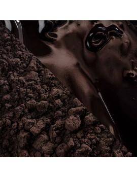 Poudre de cacao Noir Intense CACAO BARRY