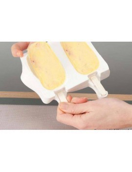 Set gel01 classic - Set de 2 moules pour glaces dim.93x48