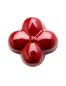 Colorant rouge liposoluble Non Azoique Power Flowers™