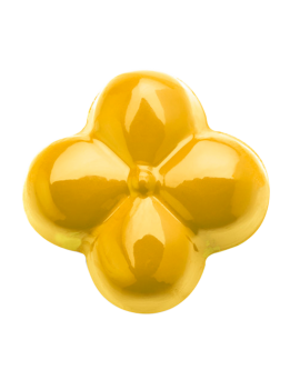 Colorant jaune liposoluble Non Azoique Power Flowers™