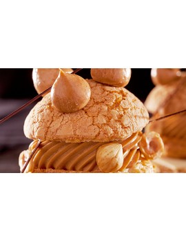 Croustillant Pralin Feuilletine CACAO BARRY