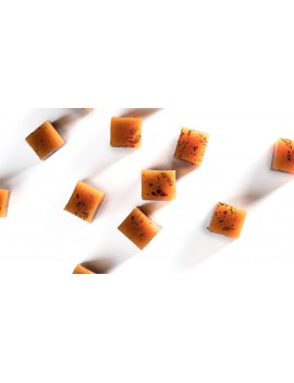 Ocoa noir 70% Chocolat de couverture CACAO BARRY