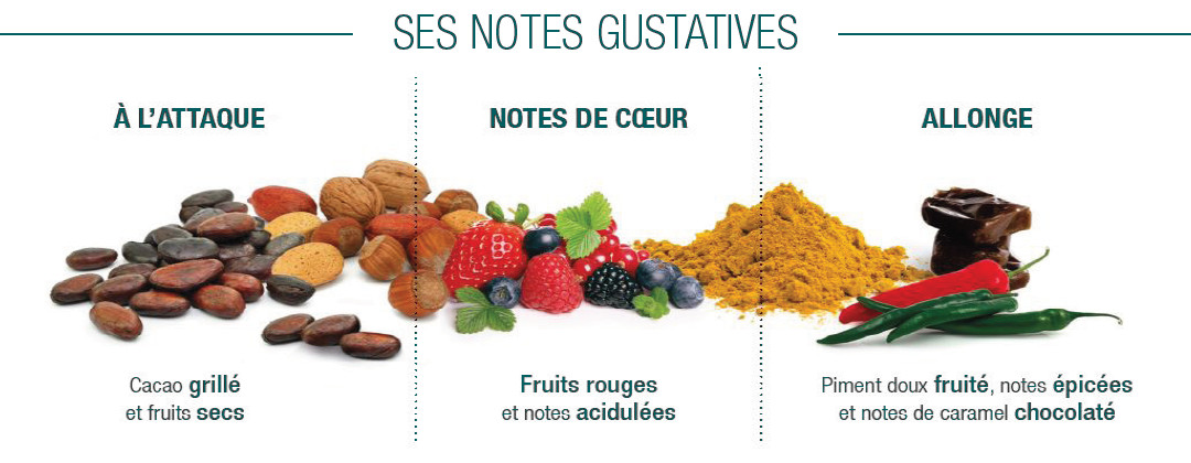 Notes gustatives Richuello Noir Cluizel