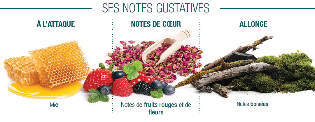 Notes gustatives Vanuari Noir Cluizel