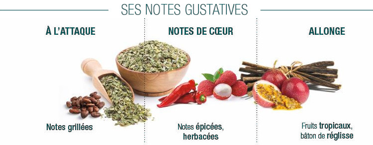 Notes gustatives Vila Gracinda Noir Cluizel